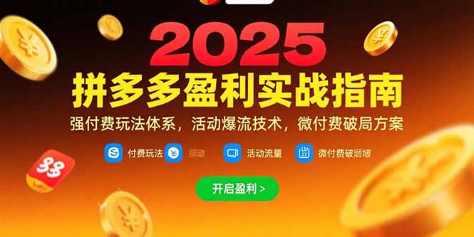拼多多盈利实战指南，强付费玩法，活动爆流技术，微付费破局方案(更新7月-源创极客