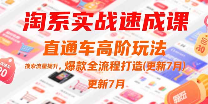 淘系实战速成课，直通车高阶玩法，搜索流量提升，爆款全流程打造(更新7月-源创极客