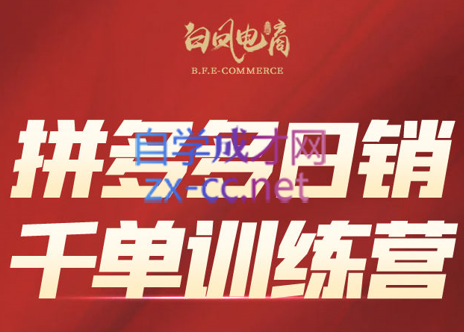 白凤电商·拼多多日销千单训练营(更新7月)-源创极客