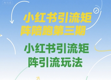 小红书引流矩阵陪跑第三期，小红书引流矩阵引流玩法-源创极客