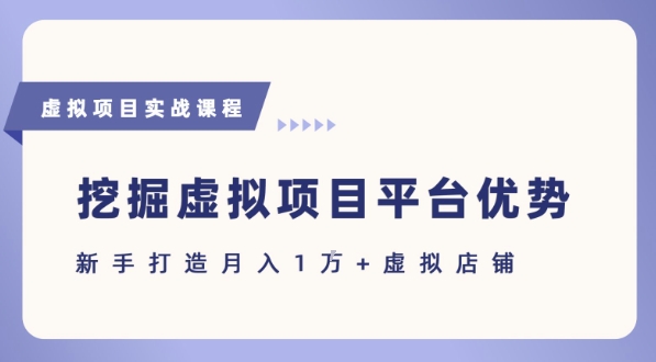 抓住虚拟项目各平台优势，新手轻松月入1W+(给出具体建议)-源创极客