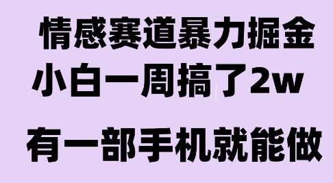 情感暴力掘金项目，新人操作一周挣了2W，长期稳定小白可做【揭秘】-源创极客