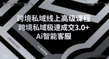 跨境私域线上高级课程，跨境私域极速成交3.0+Ai智能客服-源创极客
