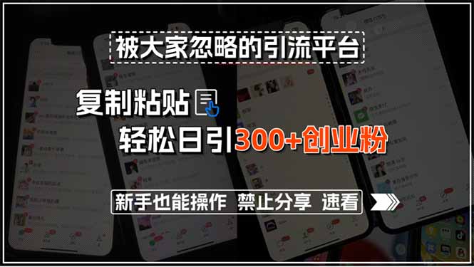 被大家忽略的引流平台，复制粘贴轻松日引300+创业粉，新手也能操作，禁...-源创极客