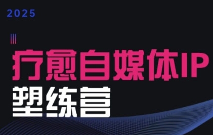 2025治愈自媒体IP训练营，专为疗愈领域从业者打造-源创极客