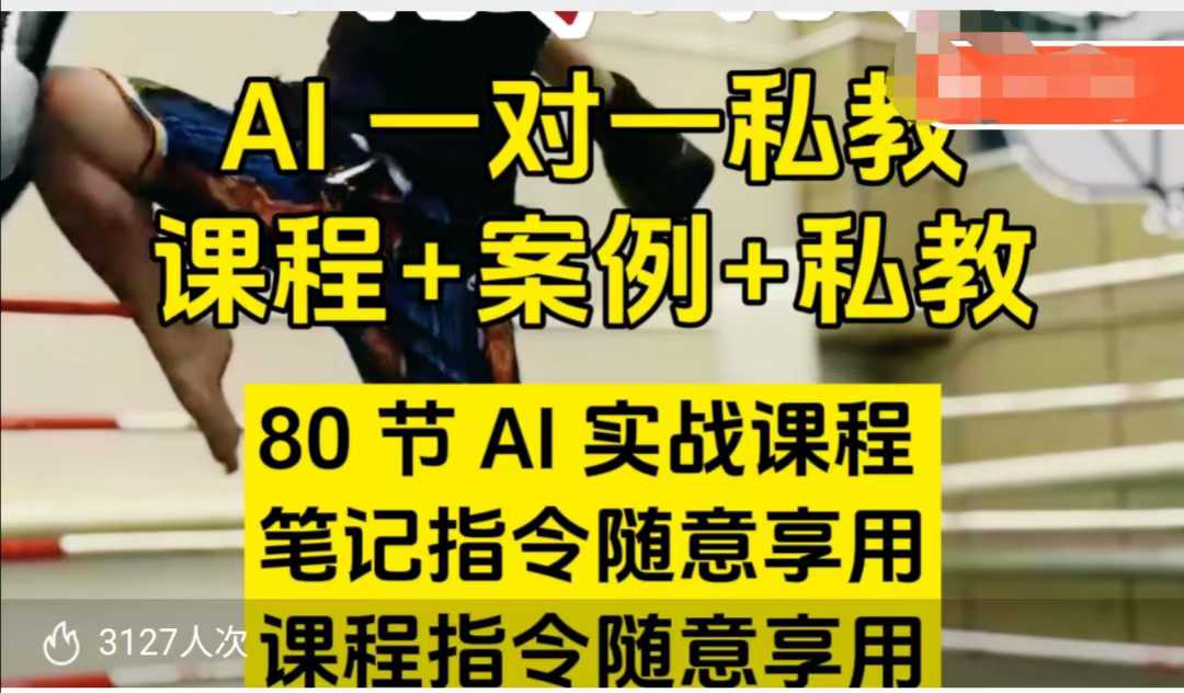 AI指令实战课，课程+案例，80节AI实战课程，笔记指令随意享用，课程指令随意享用(更新7月)-源创极客