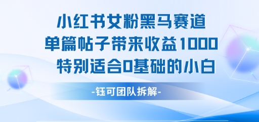 小红书女粉黑马赛道单篇帖子带来收益1k+，特别适合0基础的小白-源创极客