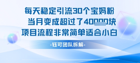 每天稳定引流30个人 当月变成超过了4个W项目流程非常简单适合小白-源创极客