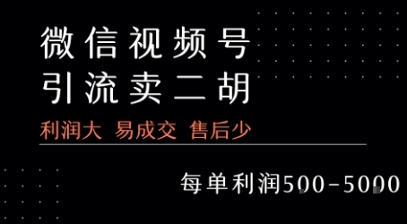 视频号卖二胡教程，利润大 易成交 售后少，一单利润5张+-源创极客