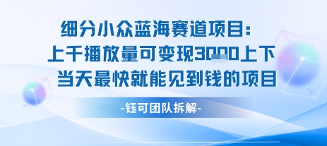 小众蓝海赛道项目：当天变现1k+适合新手操作 +适合长期玩-源创极客