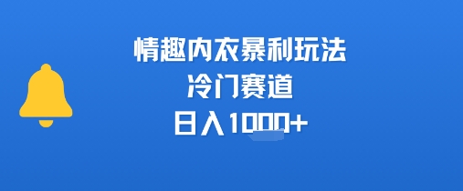 情趣内衣暴利玩法，冷门赛道，日入1k+-源创极客