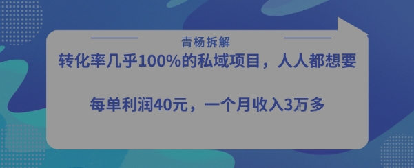 转化率最高的私域项目，每单利润40-50米，月入过1w-源创极客