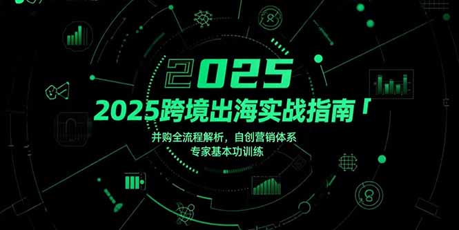 2025跨境出海实战指南，并购全流程解析，自创营销体系，专家基本功训练-源创极客