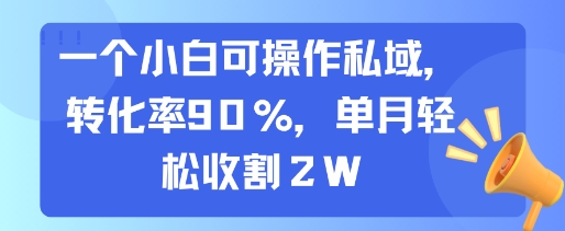 一个小白可操作私域，转化率90%，单月轻松收割2W-源创极客