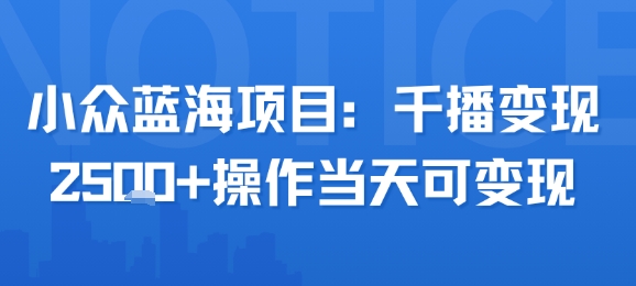 小众蓝海项目，千播变现2.5k+操作当天可变现-源创极客