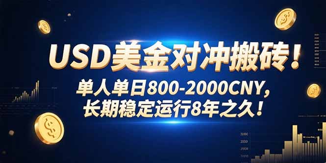 USD美金对冲搬砖!单人单日800-2000CNY，长期稳定运行8年之久!-源创极客