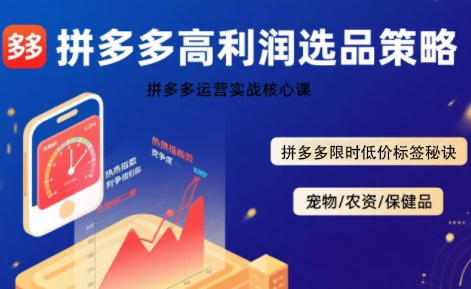 拼多多选品暴利技术实战课，拼多多高利润选品策略，拼多多限时低价标签秘诀-源创极客