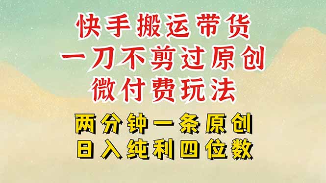 快手黑科技搬运带货，一刀不剪过原创，微付费投流玩法，轻松日入四位数...-源创极客