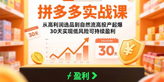 拼多多实战课：从高利润选品到自然流高投产起爆 30天实现低风险可持续盈利-源创极客