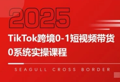 大亿老师·TikTok跨境0-1短视频带货-源创极客
