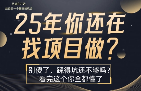25年，你还在疯狂的找项目吗？别傻了，看完这个你都懂了【揭秘】-源创极客