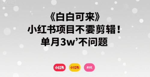 小白可来 小红书项目不需要剪辑 单月3w不是问题-源创极客