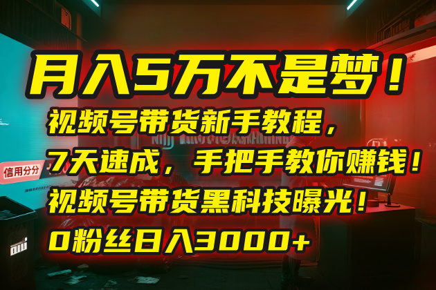 月入5万不是梦！视频号带货新手教程，7天速成，手把手教你赚钱！视频号...-源创极客