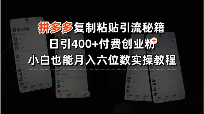 拼多多复制粘贴引流秘籍，日引400+付费创业粉，小白也能月入六位数实操...-源创极客