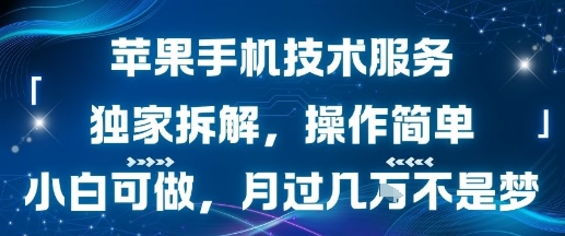 苹果手机技术服务，独家拆解，操作简单，小白可做，月过1W不是梦-源创极客