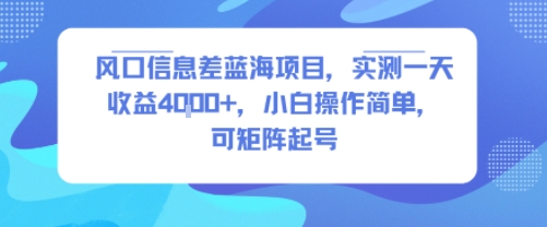 风口信息差蓝海项目，实测一天收益4k+，小白操作简单，可矩阵起号-源创极客