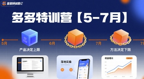 多多特训营【5-7月】产品决定上限，方法决定下限，各种玩法技巧落地实操-源创极客