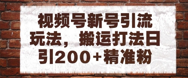 视频号新号引流玩法，搬运打法日引200+精准粉，可矩阵放大【揭秘】-源创极客