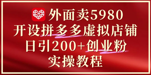 外面卖5980开设拼多多虚拟店铺：单日引流200+创业付费粉实战教程-源创极客