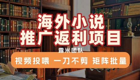 海外小说推广返利项目，视频投喂， 一刀不剪，矩阵批量-源创极客