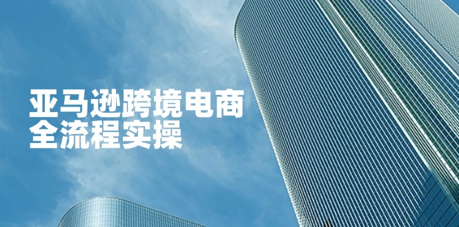 亚马逊跨境电商全流程实操，教你从零开始，掌握店铺运营与广告技巧-源创极客