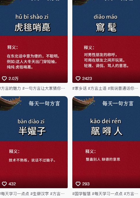 抖音最新涨粉玩法，图文方言暴力涨粉实操，126作品涨粉11W-源创极客
