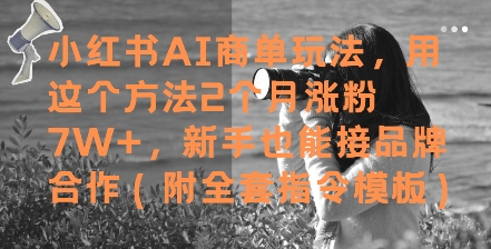 小红书AI商单玩法，用这个方法2个月涨粉7W+，新手也能接品牌合作(附全套指令模板)-源创极客