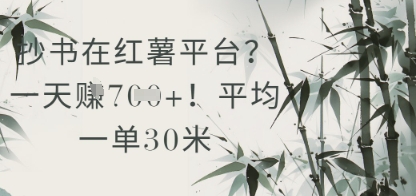 抄书在小红薯平台？平均一单30米，一天收益几张！-源创极客