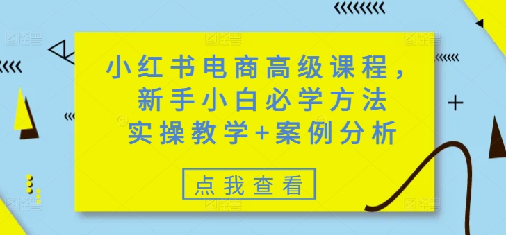 小红书电商高级课程，新手小白必学方法，实操教学+案例分析-源创极客