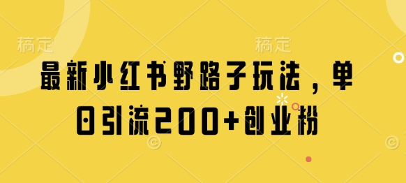 最新小红书野路子玩法，单日引流200+创业粉-源创极客