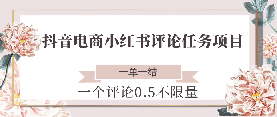抖音电商小红书评论任务项目，一个评论0.5，一单一结 不限量-源创极客