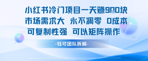 小红书冷门项目一天收益9张，市场需求大，0成本，可复制性强可以矩阵操作-源创极客