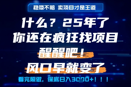 什么？25年你还在疯狂找项目做，醒醒吧，看完这些你全都懂了！【揭秘】-源创极客