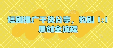 短剧推广干货分享，豹剧 1:1原创全流程-源创极客