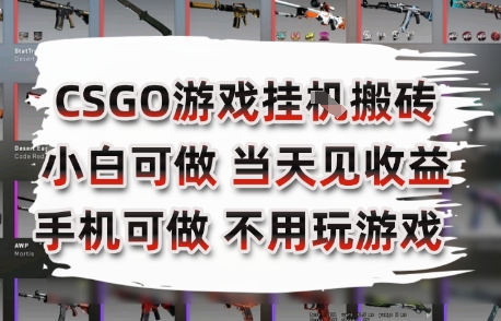 CSGO游戏挂G搬砖，小白纯手机即可操作，不用电脑打游戏，日入3张+，副业网创项目【揭秘】-源创极客