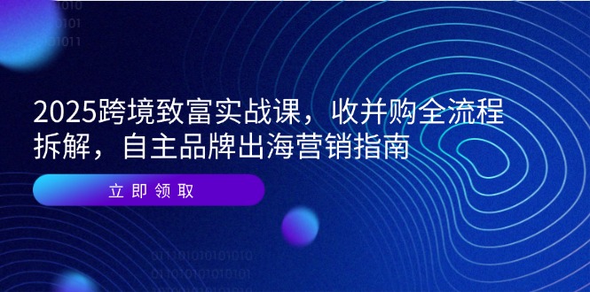 2025跨境致富实战课，收并购全流程拆解，自主品牌出海营销指南-源创极客