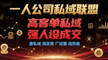 一人公司私域联盟，高客单私域，强人设成交，建私域 搞发售 广结盟 造势能-源创极客