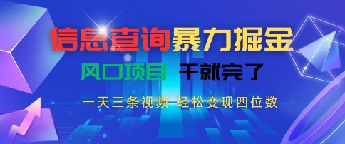 信息查询暴力掘金，一天三条视频，轻松变现四位数，风口项目干就完了【揭秘】-源创极客