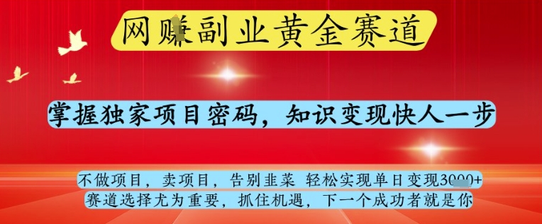 网创副业黄全赛道，掌握独家项目密码，知识变现快人一步，告别韭菜轻松实现单日变现1k+【揭秘】-源创极客