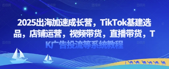 2025出海加速成长营，TikTok基建选品，店铺运营，视频带货，直播带货，TK广告投流等系统教程-源创极客